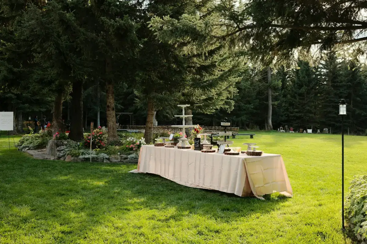A long dressed table on a lawn at an outdoor garden celebration