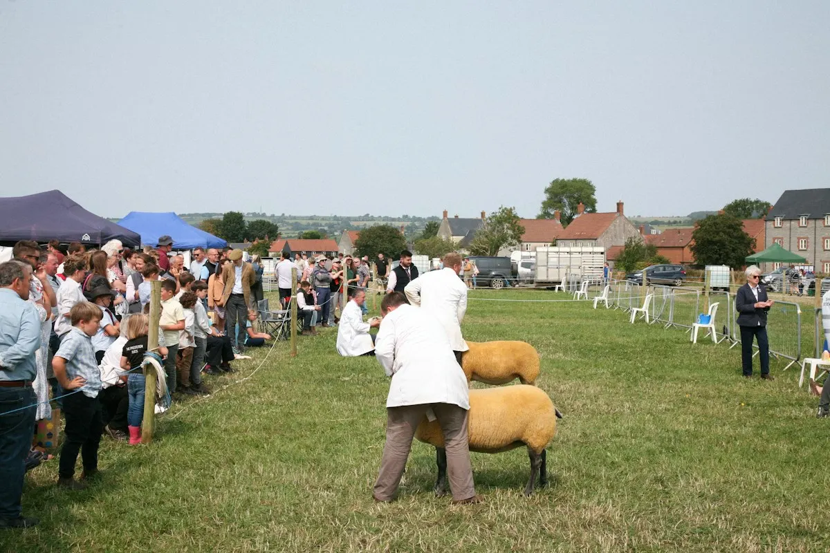 A country show on a grass field with marquees and visitors